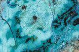 Colorful Chrysocolla and Shattuckite Slab - Mexico #227905-1
